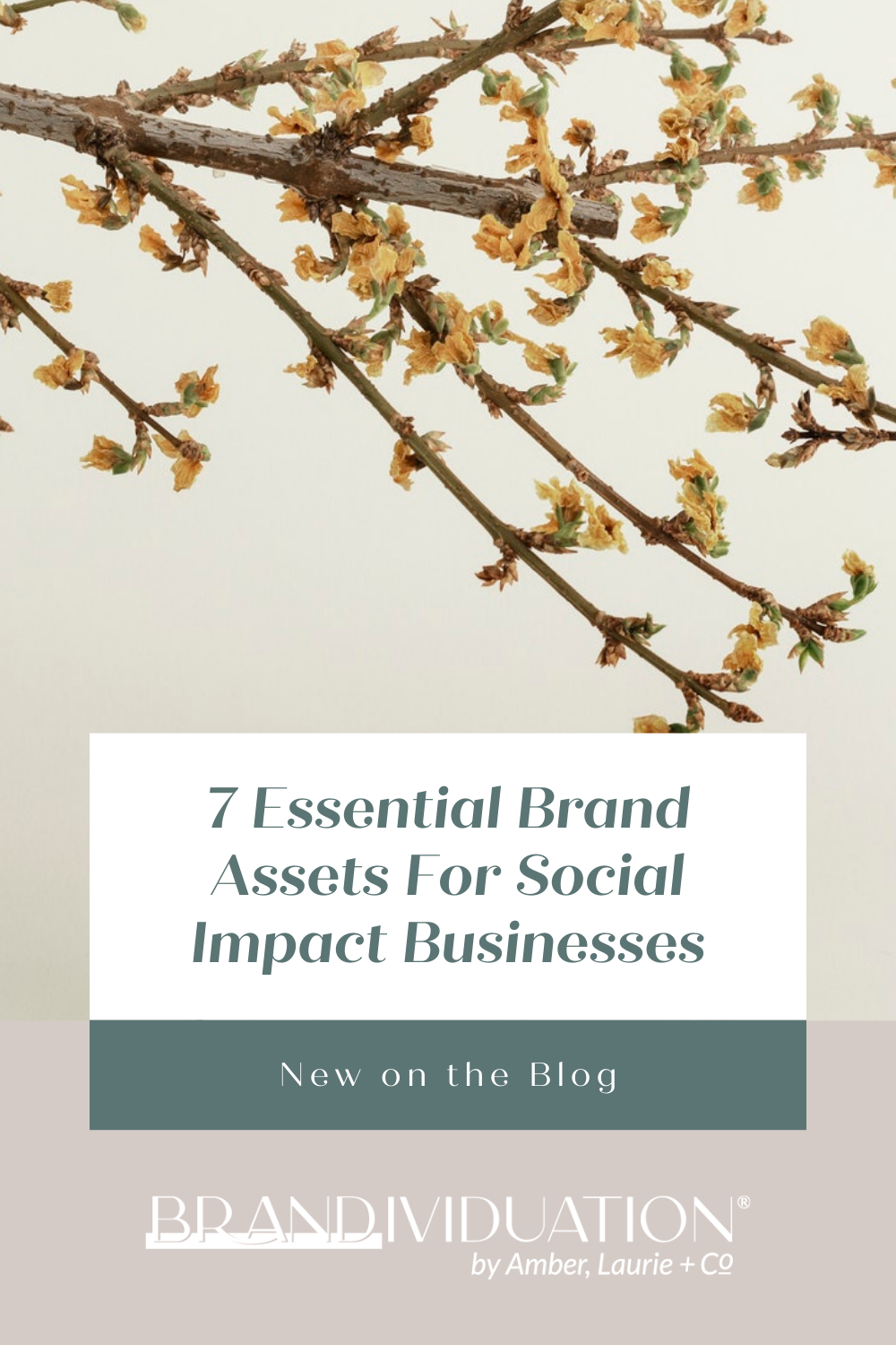 7 Essential Brand Assets For Social Impact Businesses
