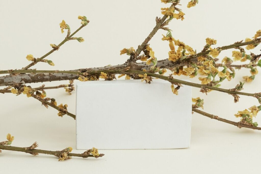 Why are brand assets important